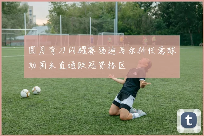 圆月弯刀闪耀赛场迪马尔科任意球助国米直通欧冠资格区