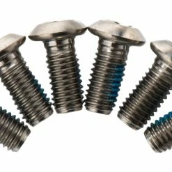 TRP Titaniumschroeven Voor Remschijven - Zilver